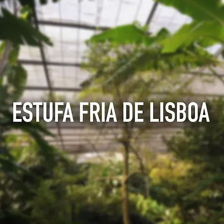 Chez Jacqueline Daire