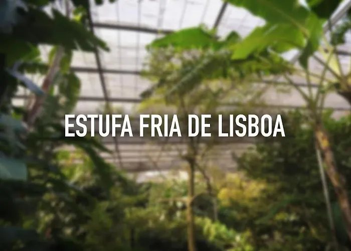 Chez Jacqueline 아파트